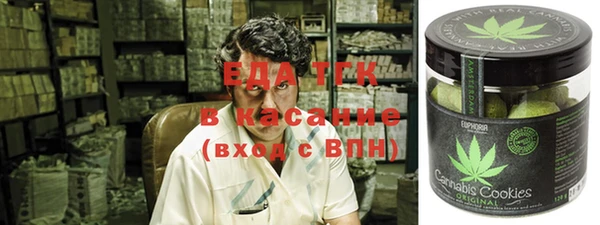 мет Алексин