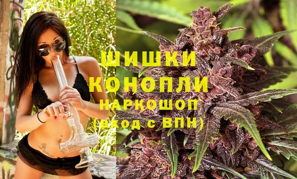 spice Алексеевка