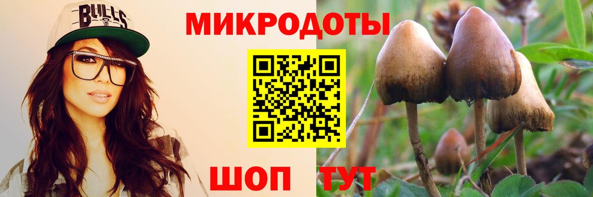 Красногорск  Галлюциногенные грибы MAGIC MUSHROOMS  Вход с VPN 
